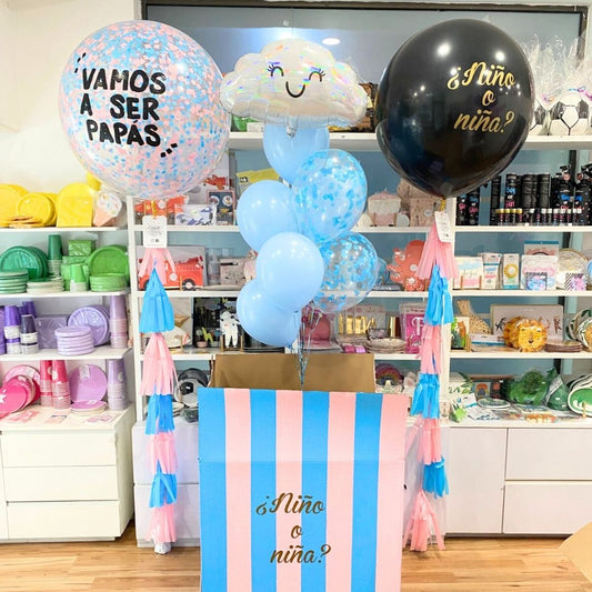 Box Pack Gender Reveal