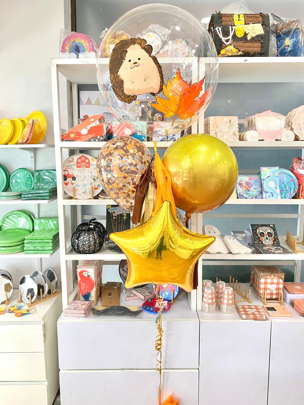 Burbuja Grande - Hedgehog