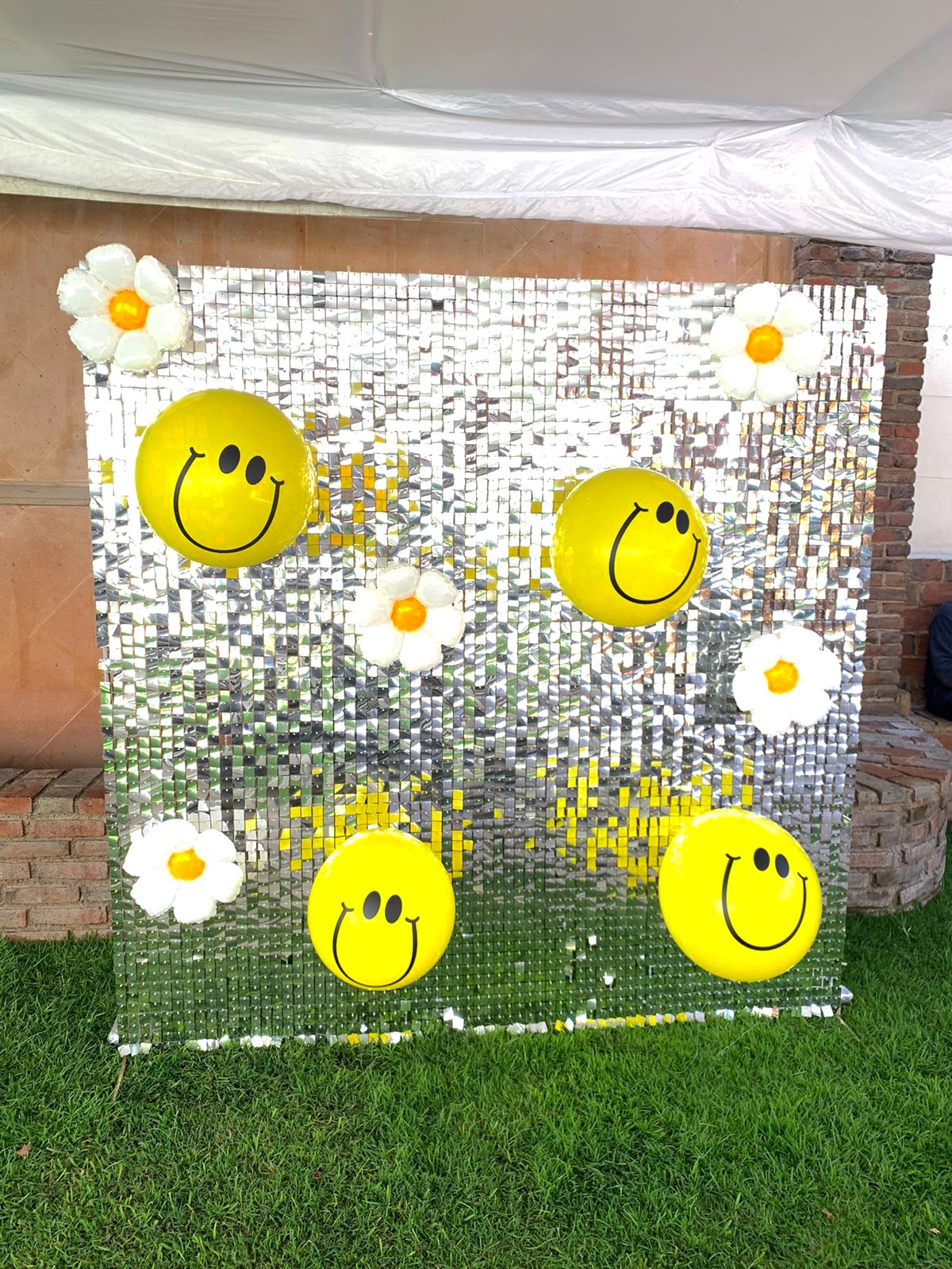 Shimmer Wall - Happy Face