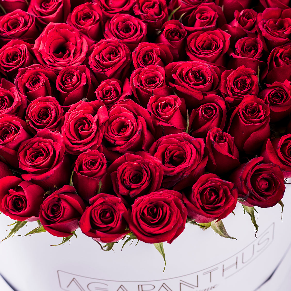 Arreglo de Flores - Martina