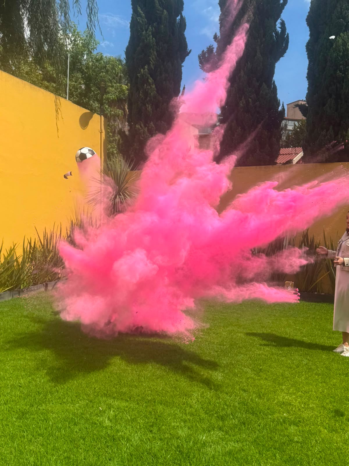 Balón de Revelación de Género Rosa
