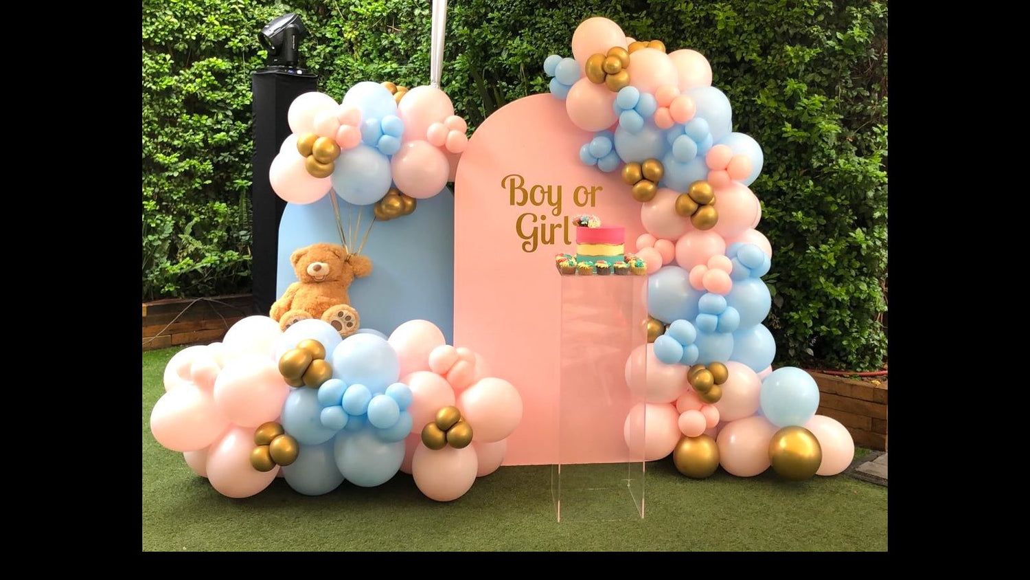 Gender Reveal Decoración