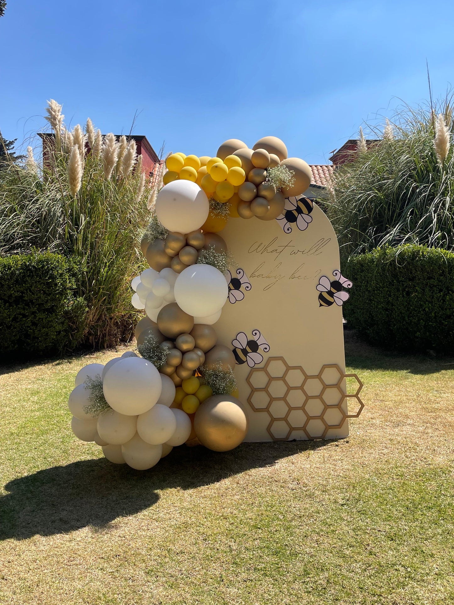 Back Duo - What baby will bee?
