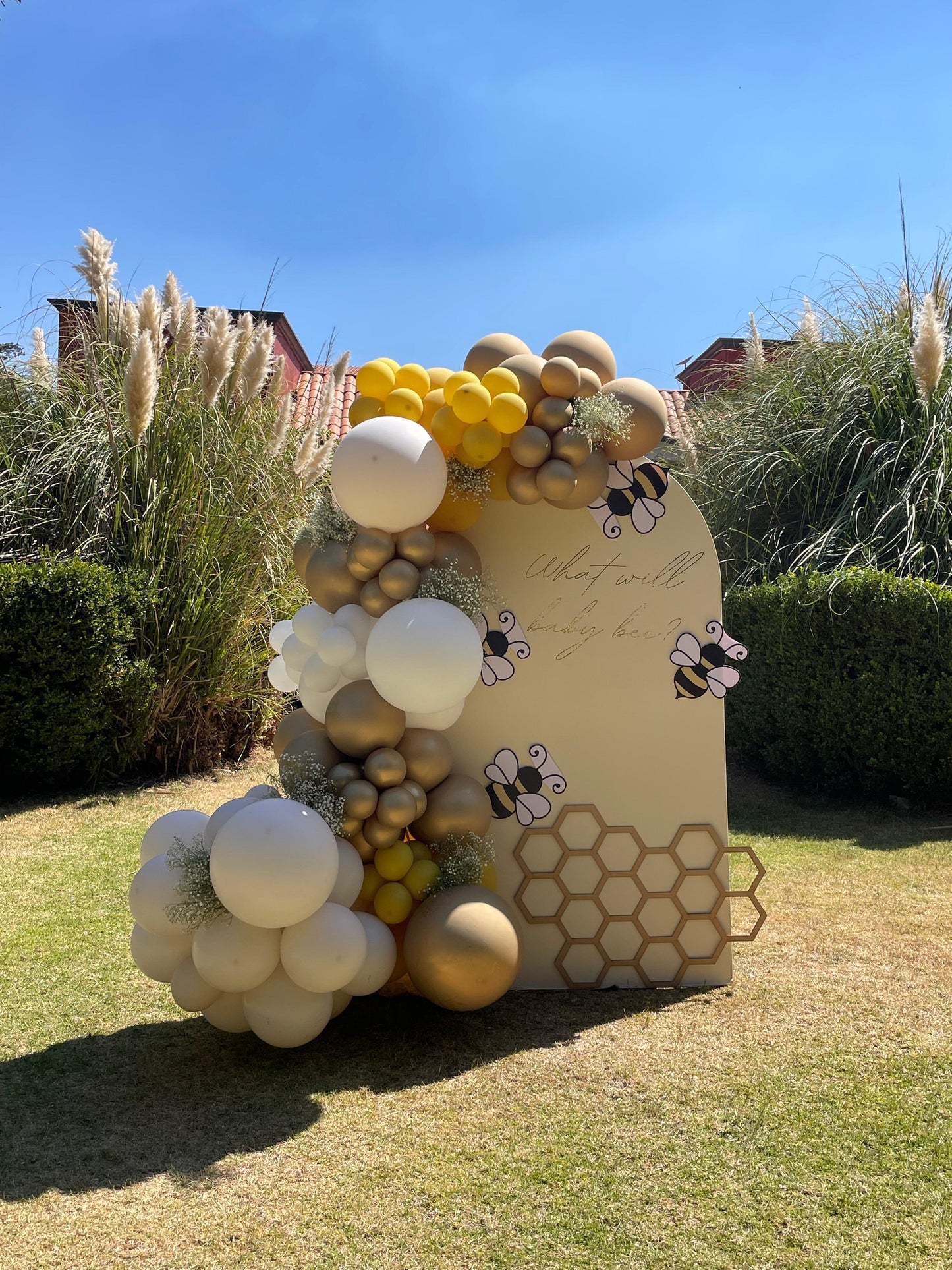 Back Duo - What baby will bee?
