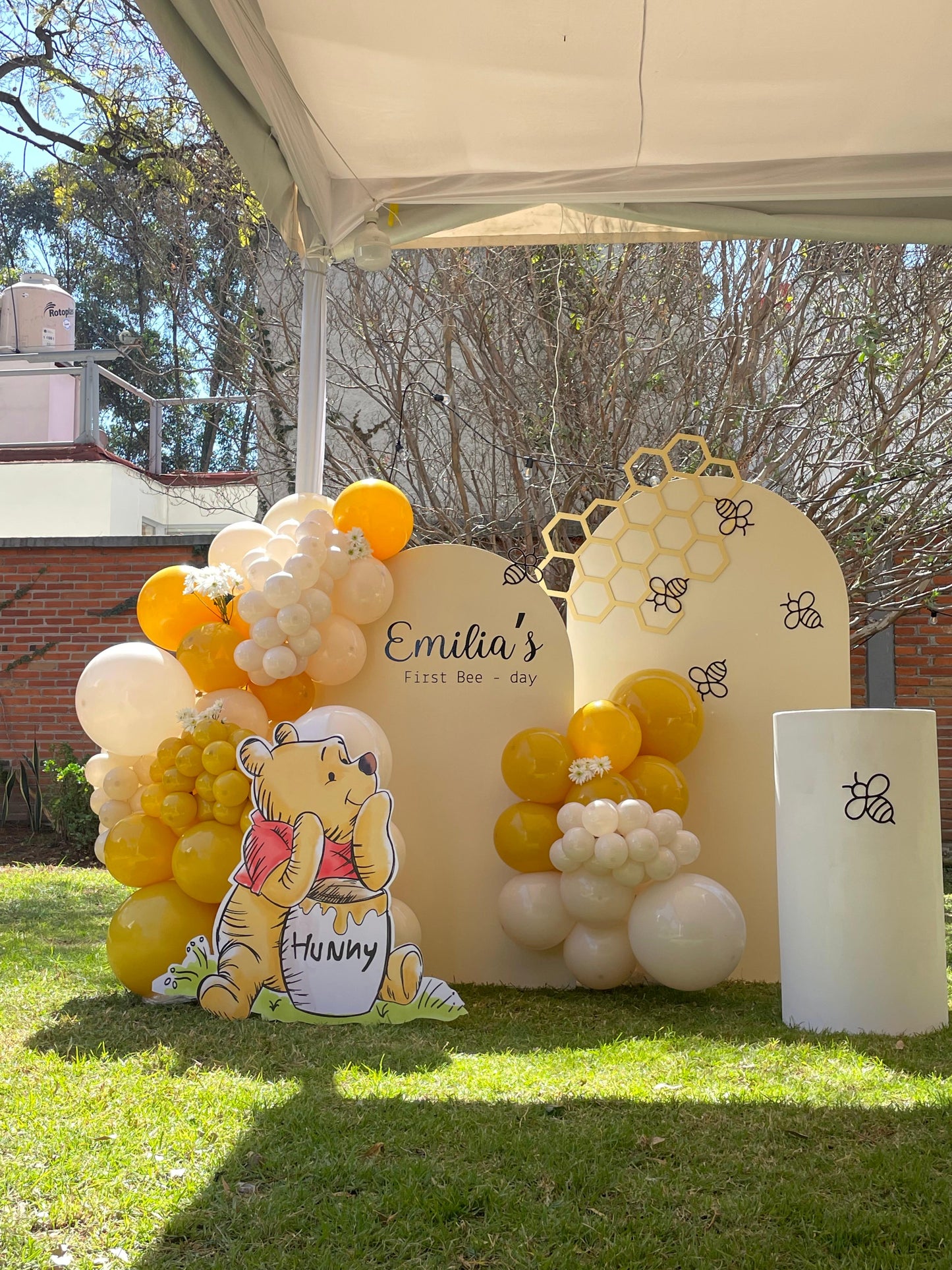 Back Dúo - Honey Pooh