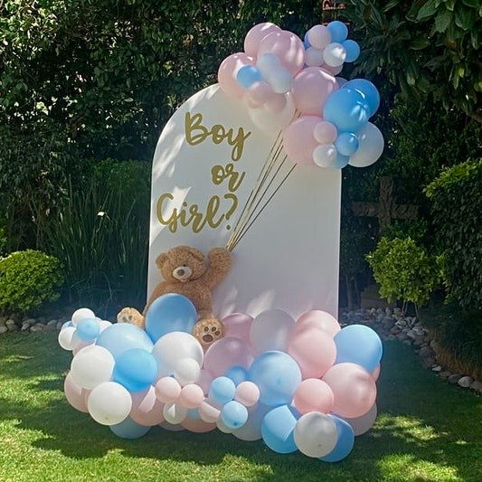 One Back Osito - Gender Reveal