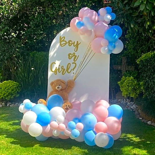 One Back Osito - Gender Reveal