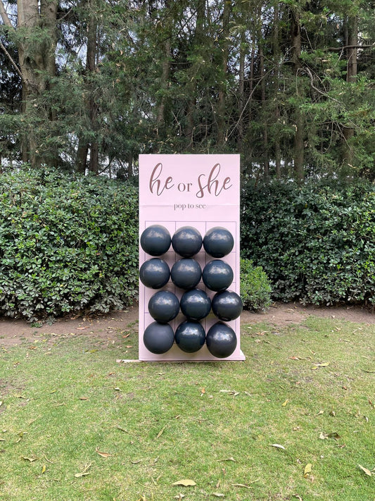 Juego de Dardos - He or She?