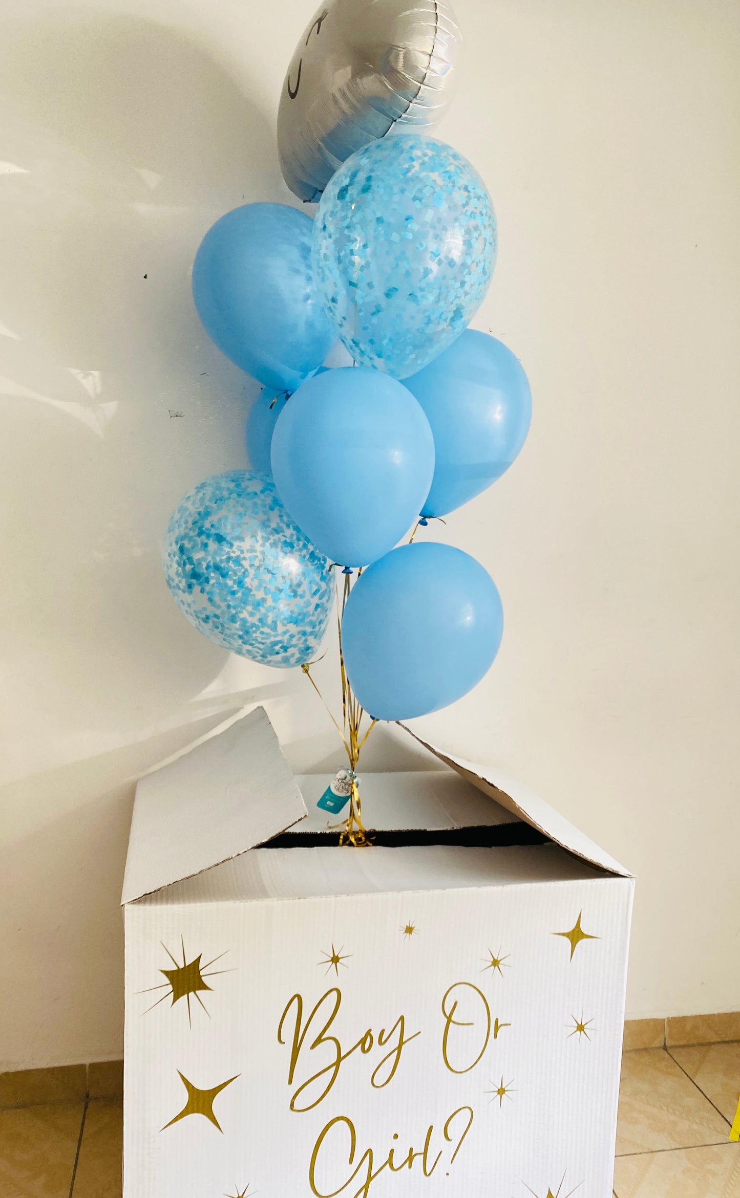 Caja Gender Reveal -White Boy or Girl?