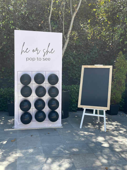 Juego de Dardos - He or She? Con caballete