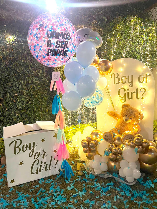 Box Pack Gender Reveal Boy