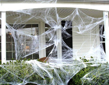 Cargar imagen en el visor de la galería, Spider webs - Telaraña Gigante  (74 metros)